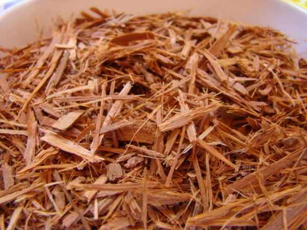 Catuaba Casca 50 gr